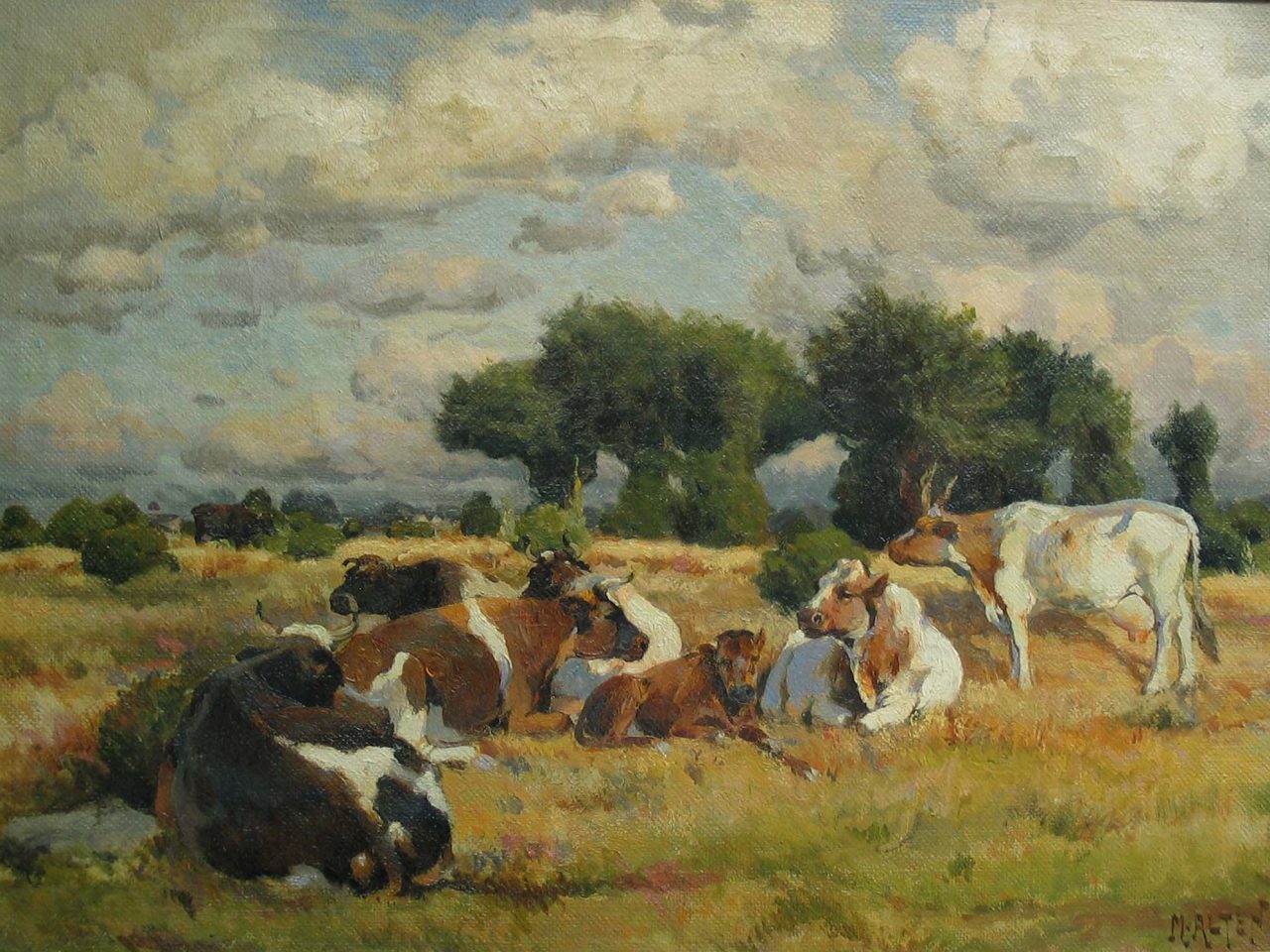 Oil panting of cows in a pasture