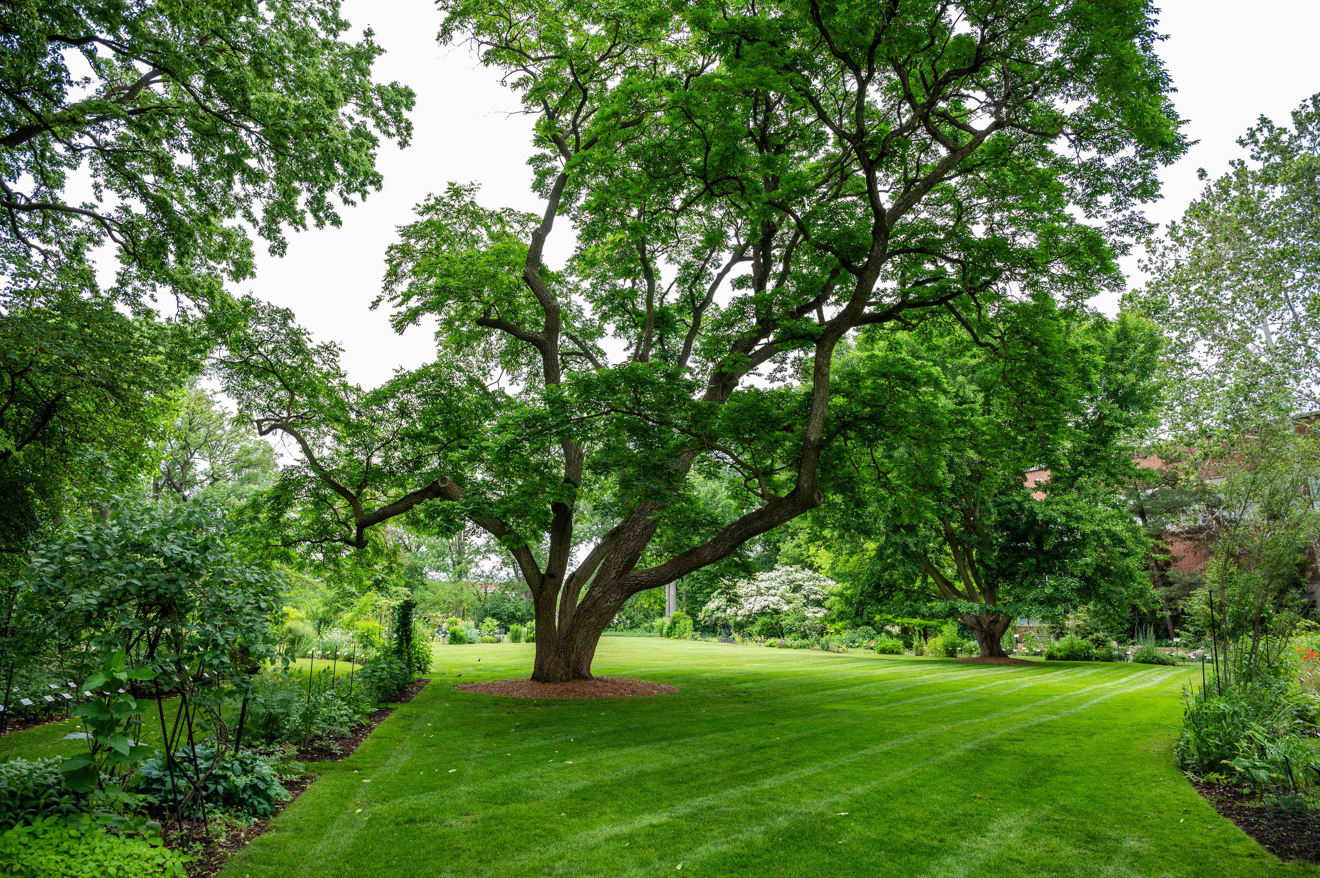 Garden Edition: Deep-Rooted with Beal Botanical Garden